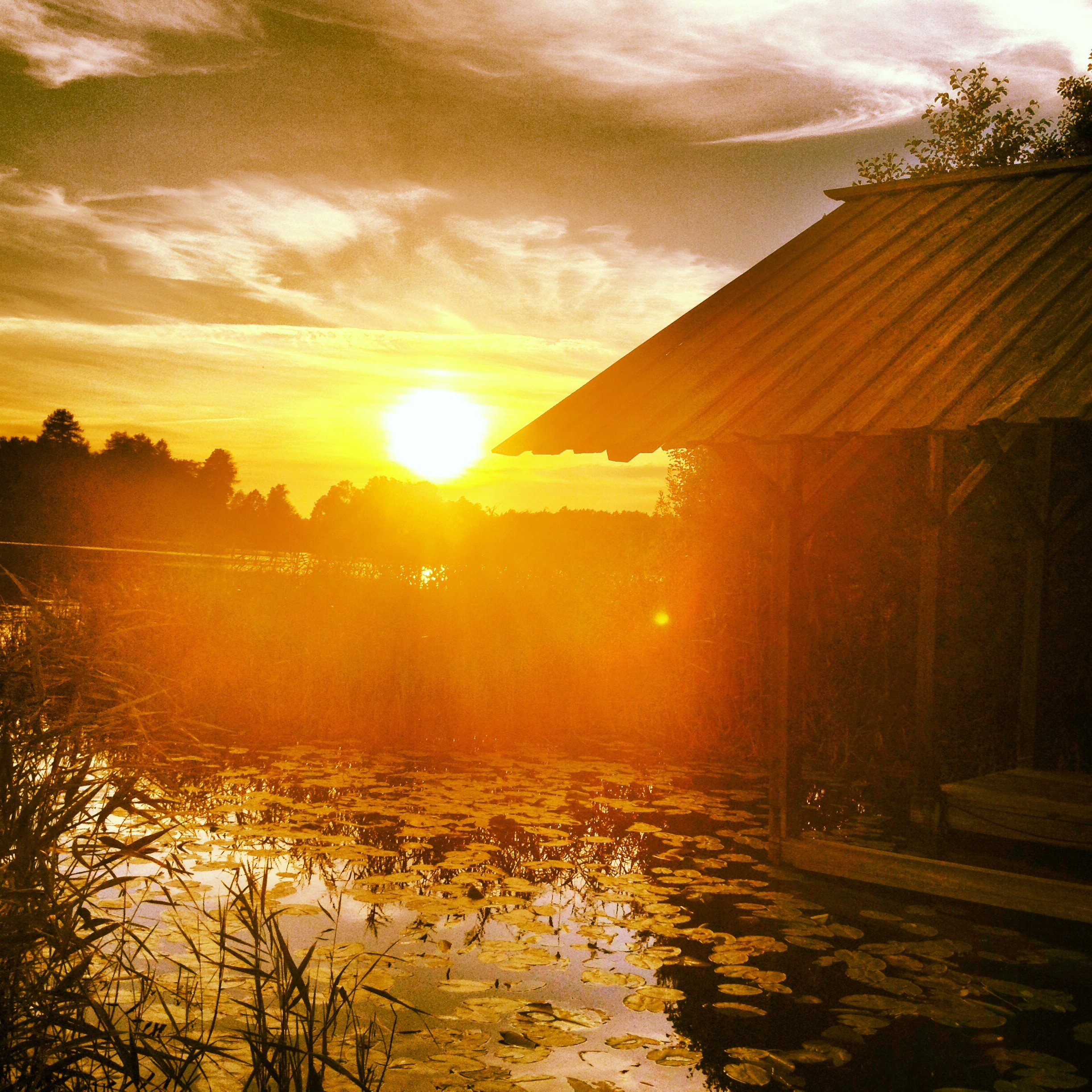 Vårdinge kursgård