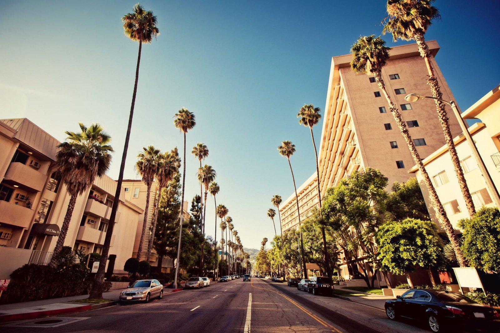 Palm-Streets-of-Beverly-Hills-in-Hollywood-USA