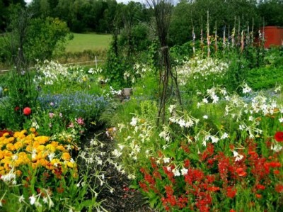 VardingeFHSKWebbsida-5