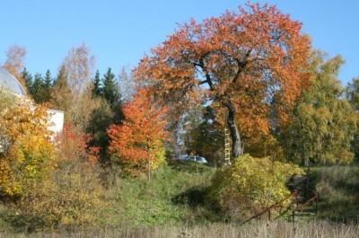 VardingeFHSKWebbsida-6